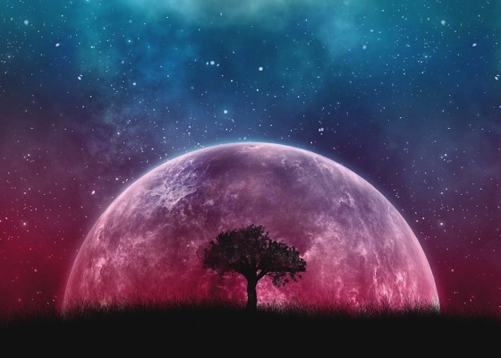 A tree in the foreground with a planet and starry night sky in the background