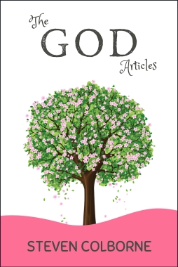 The God Articles by Steven Colborne (book cover)